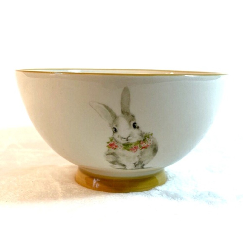 Pier 1 Bunny Rabbit Pals Ceramic Cereal Bowl Yellow Trim 5.75" Discontinued‎